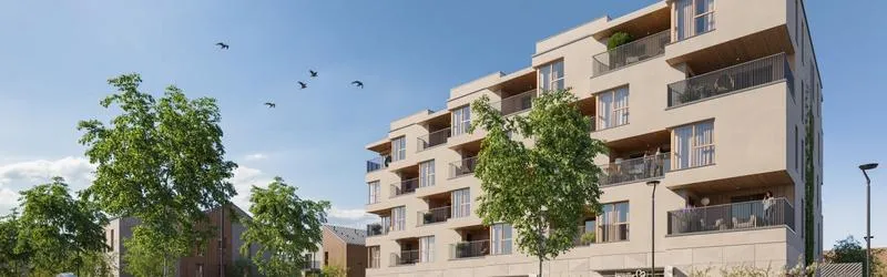 Koszty notariusza przy zakupie działki rekreacyjnej