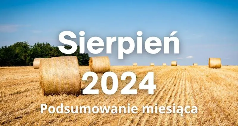 Zakupy w sierpniu poradnik